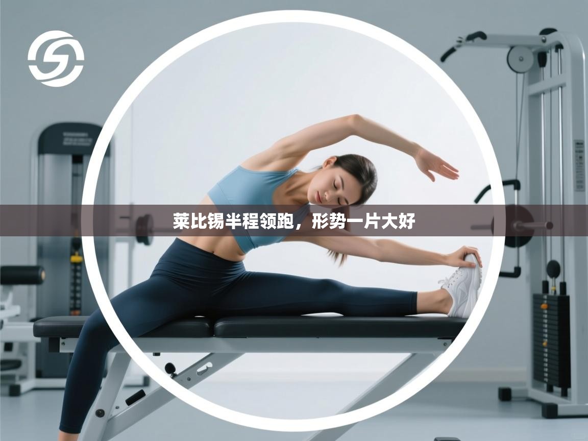 莱比锡半程领跑，形势一片大好  第2张