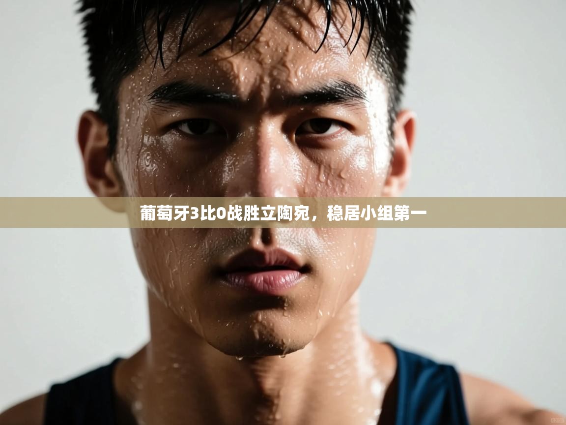 葡萄牙3比0战胜立陶宛，稳居小组第一  第2张