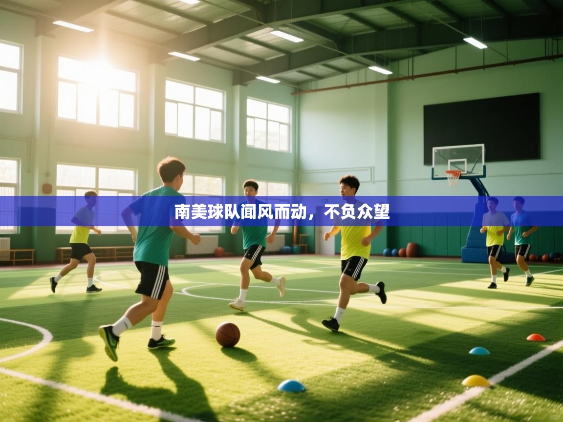 南美球队闻风而动，不负众望  第1张