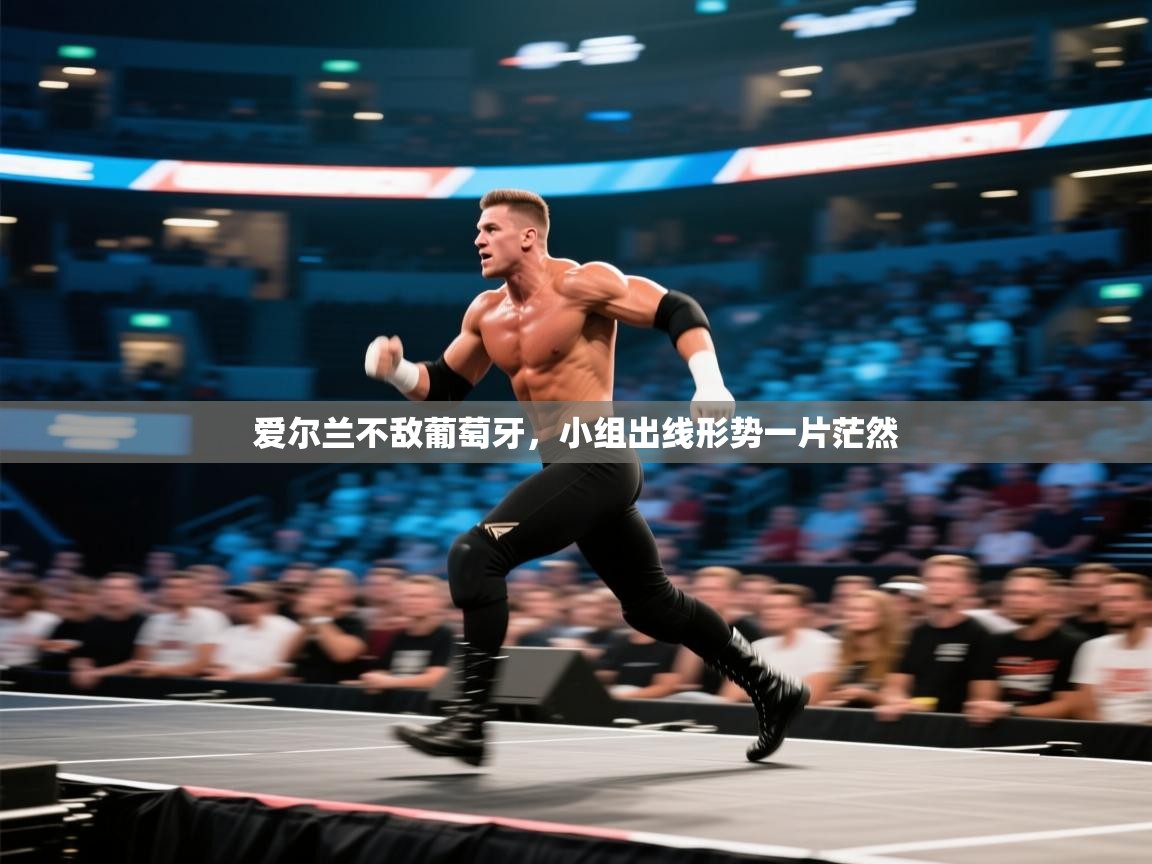 爱尔兰不敌葡萄牙,小组出线形势一片茫然 第2张