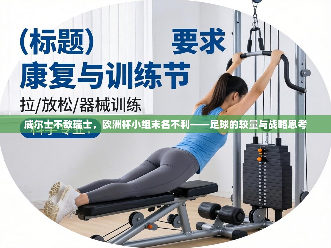 威尔士不敌瑞士,欧洲杯小组末名不利——足球的较量与战略思考 第2张