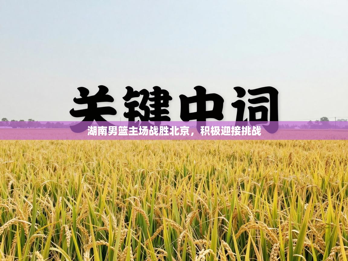 湖南男篮主场战胜北京，积极迎接挑战  第2张